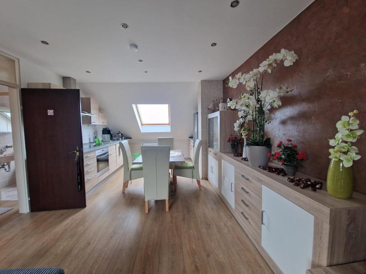 Cheerful Roof Flat In A Private German Style House