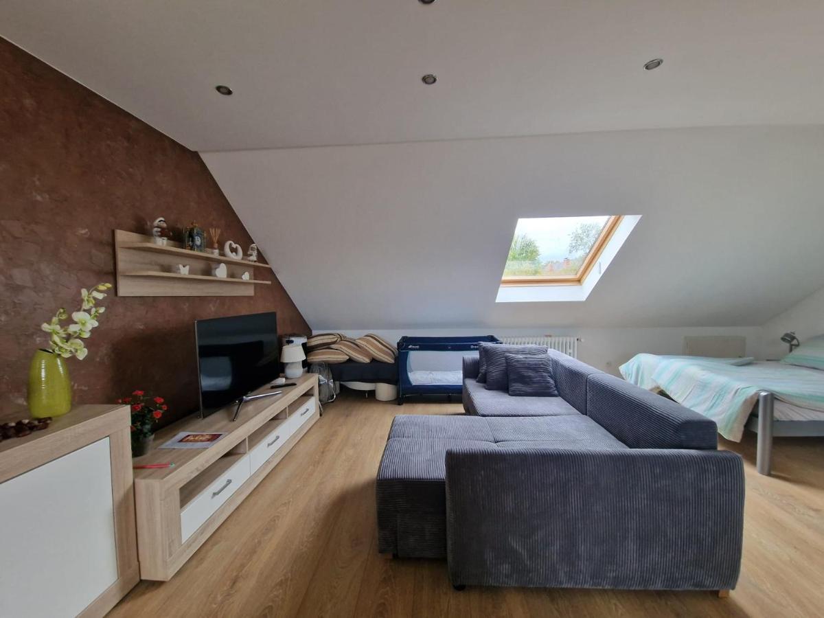 Cheerful Roof Flat In A Private German Style House Mannheim
